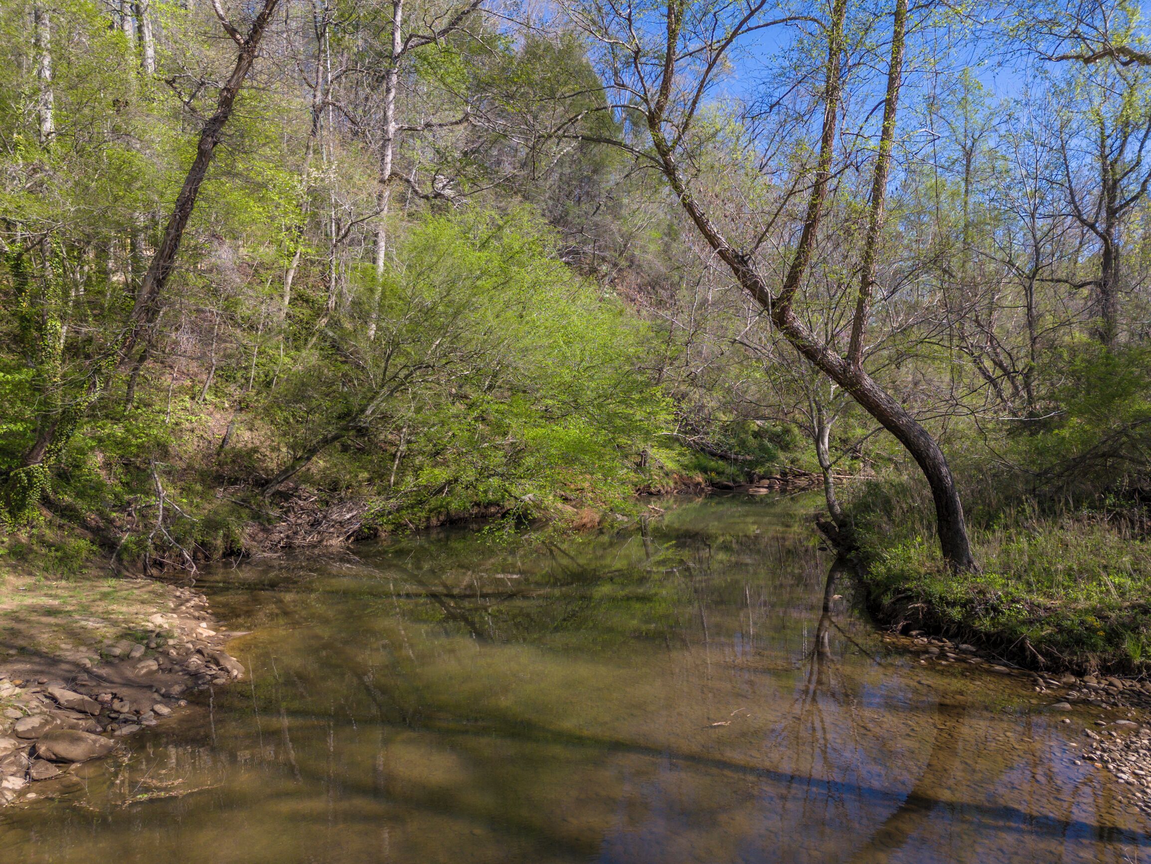 A natural landscape with a stream, trees, and a rocky riverbank.