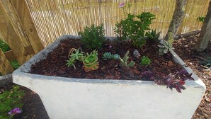 A concrete planter with various succulents and small plants, surrounded by a wooden fence and a tree.