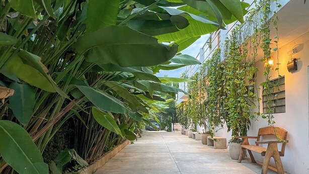 A narrow pathway flanked by lush greenery and potted plants, leading to a seating area with wooden benches. - Sac Ek Hotel (Valladolid)