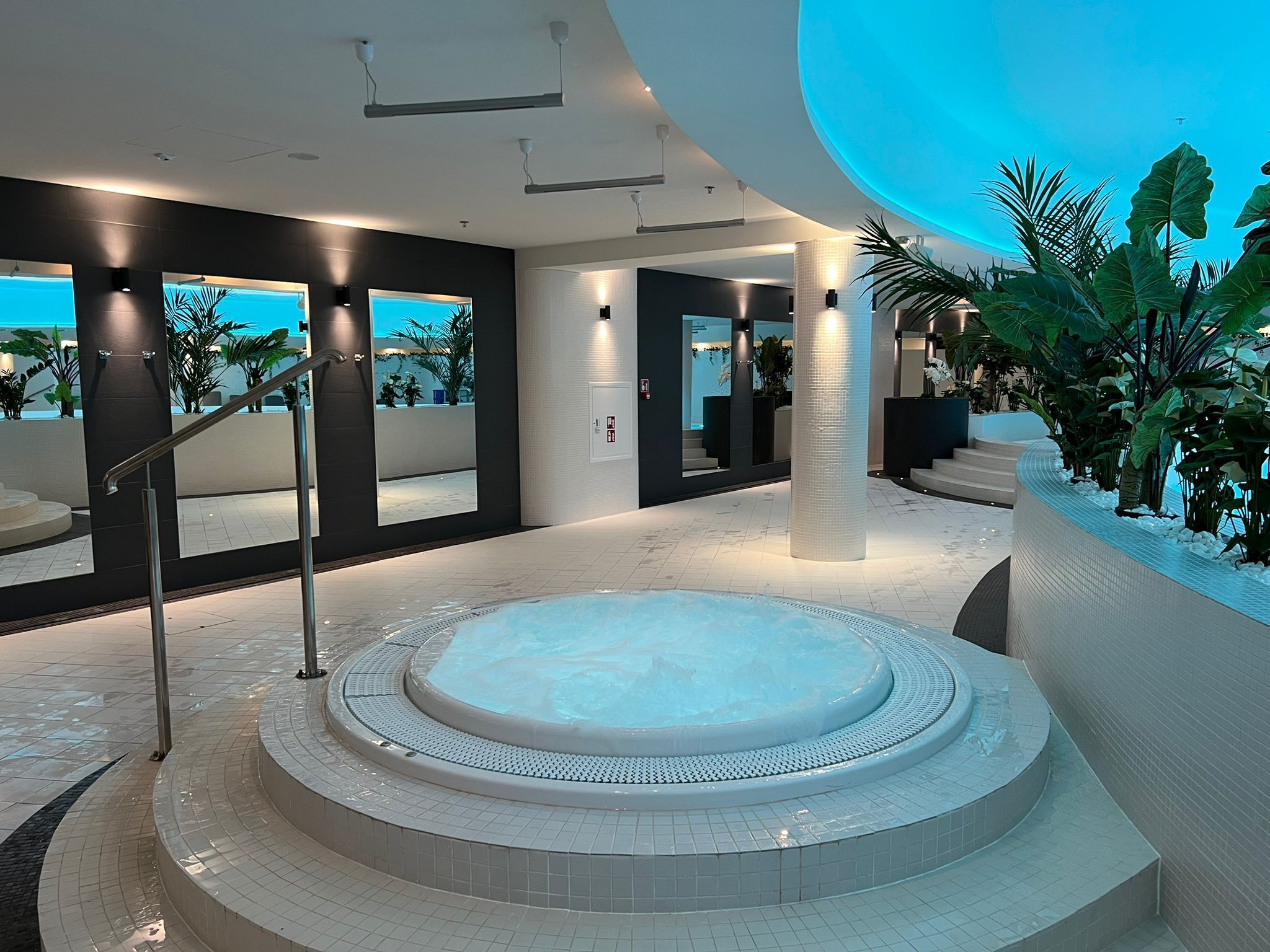 Wellness