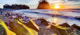 Private Getaway Near Beaches & Downtown Tacoma!