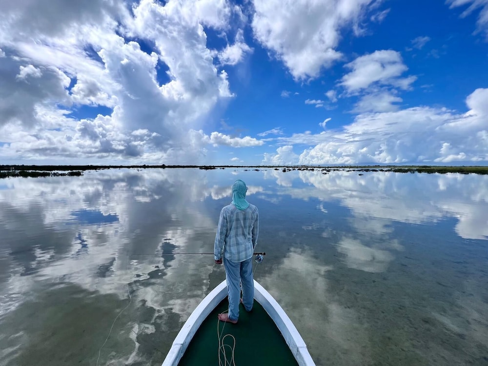 Costa De Cocos by null