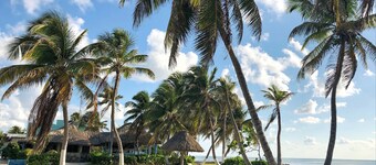 Costa de Cocos Xcalak