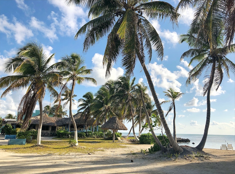 Costa De Cocos by null
