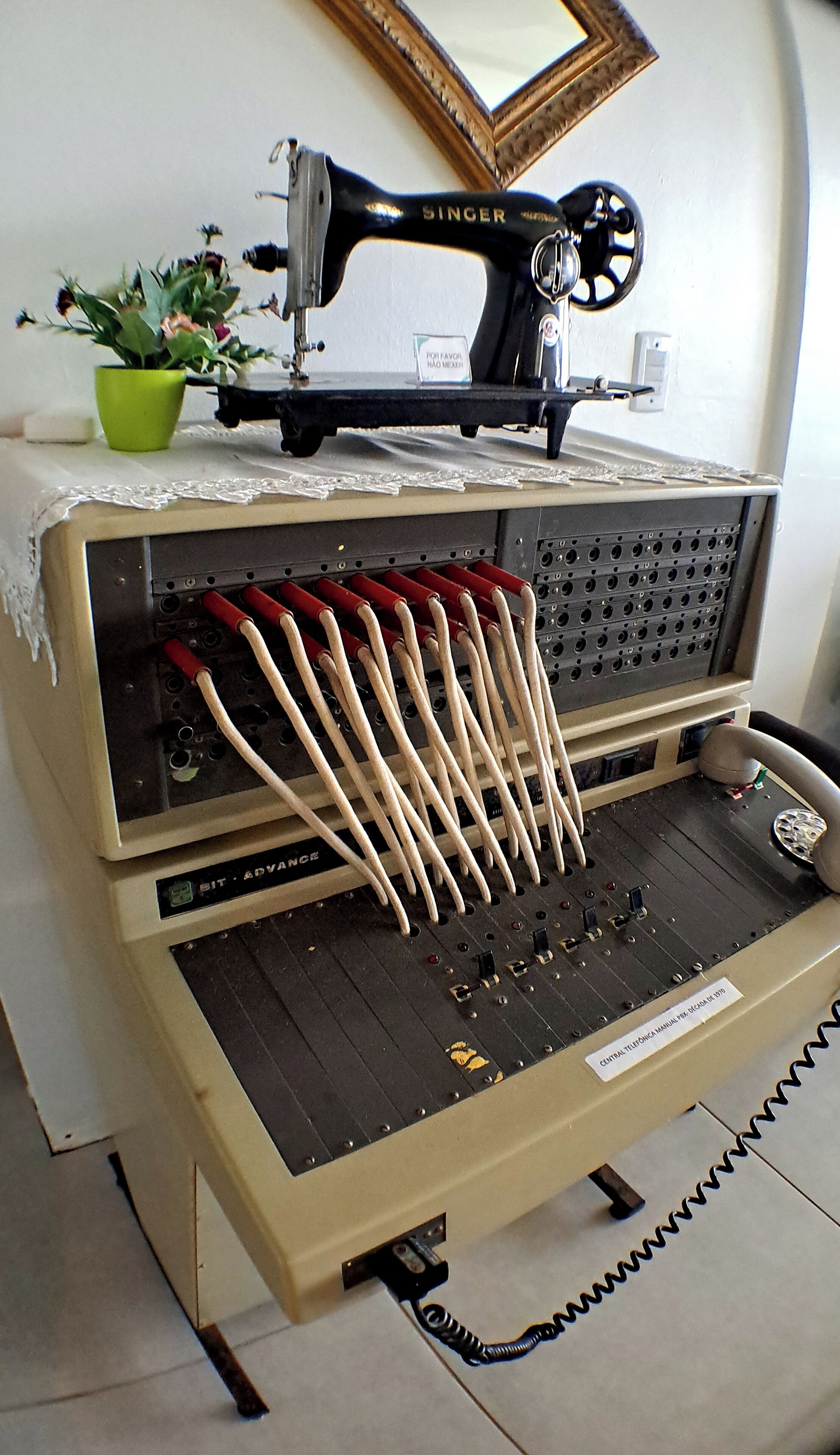 Una máquina de coser Singer antigua con una planta verde encima.