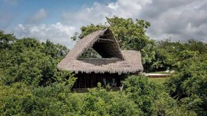 Une hutte au toit de chaume, entourée d’une végétation luxuriante.