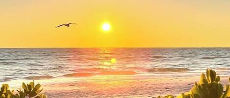 Tumbonas y toallas de playa