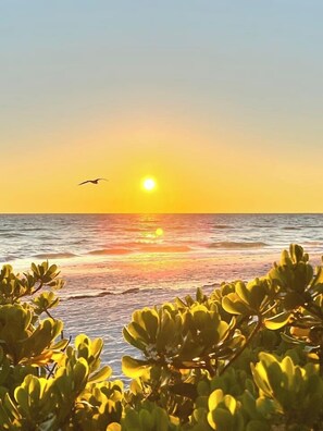 Un coucher de soleil sur une plage, avec des vagues et un oiseau qui vole.
