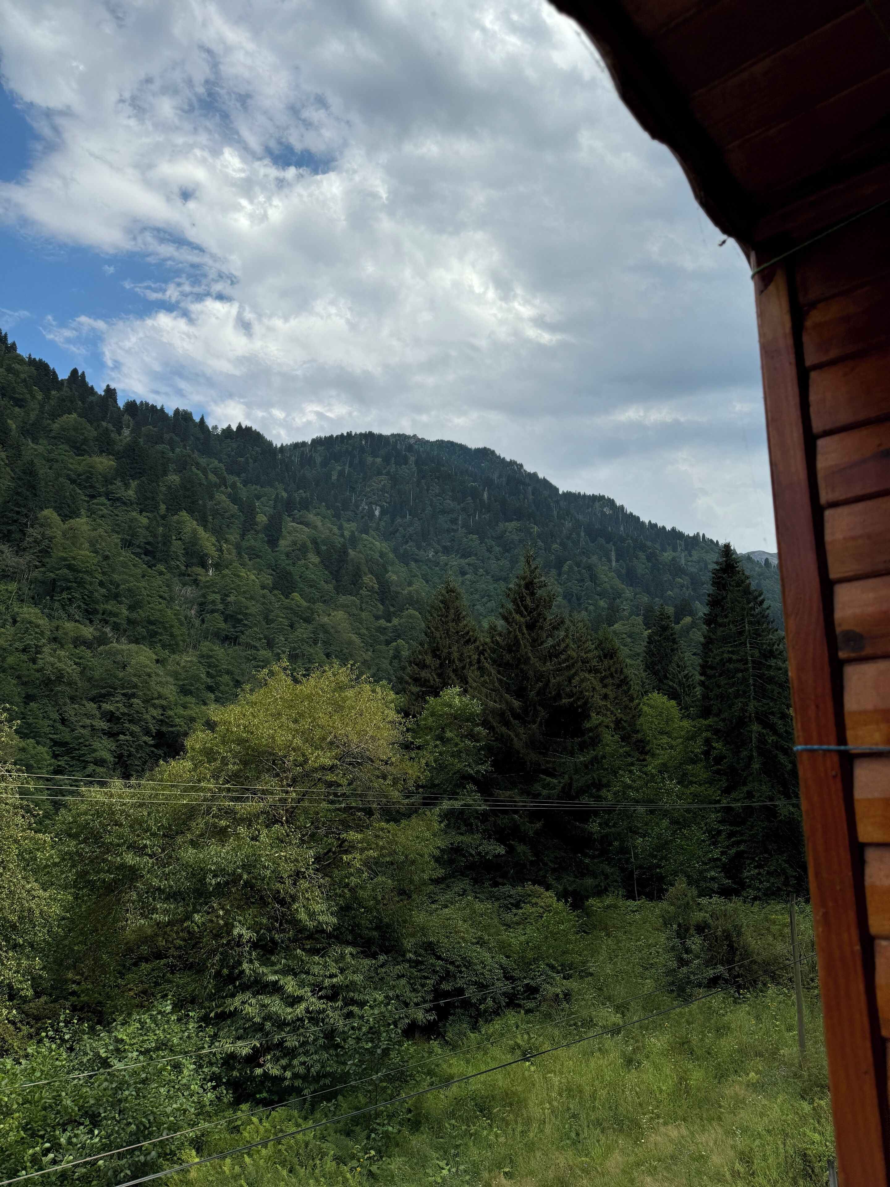 A view of a forested mountain from a wooden cabin.