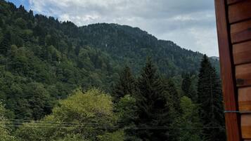 A view of a forested mountain from a wooden cabin.