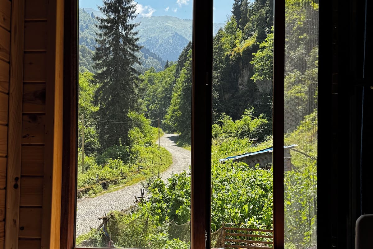 A wooden cabin with a large window overlooking a forested valley and a mountain range.