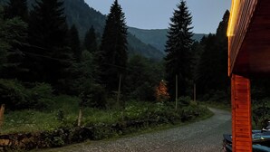 Un camino adoquinado que serpentea por un bosque con un edificio de madera a la derecha.