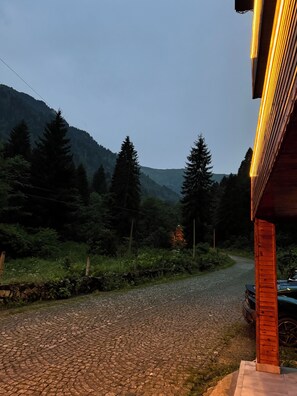 Vista desde la propiedad