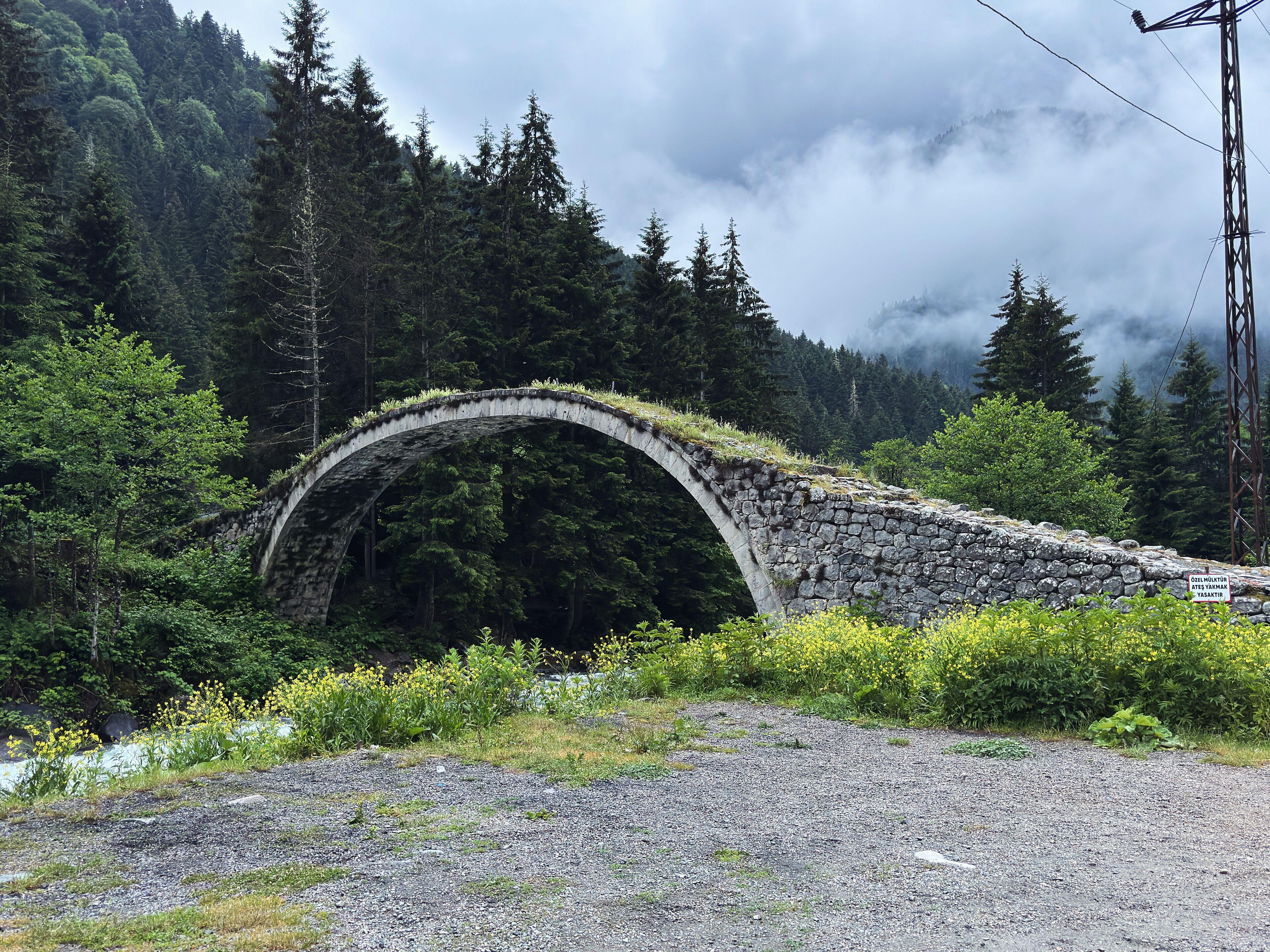 Un puente de piedra con un arco curvo sobre un área boscosa.