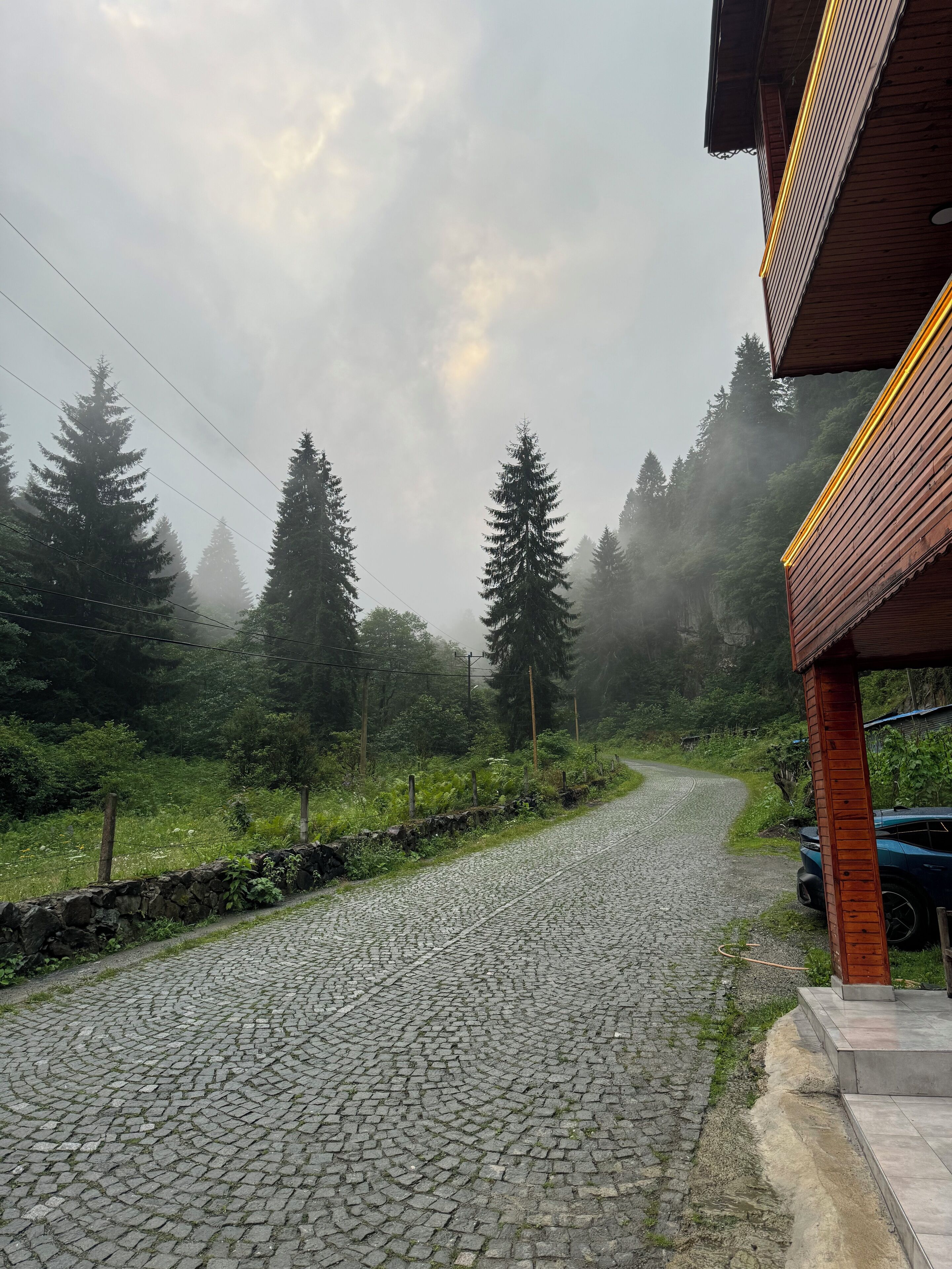 Ein Kopfsteinpflasterweg in einer bewaldeten Gegend mit einer Steinmauer und einem Holzhaus mit geneigtem Dach.