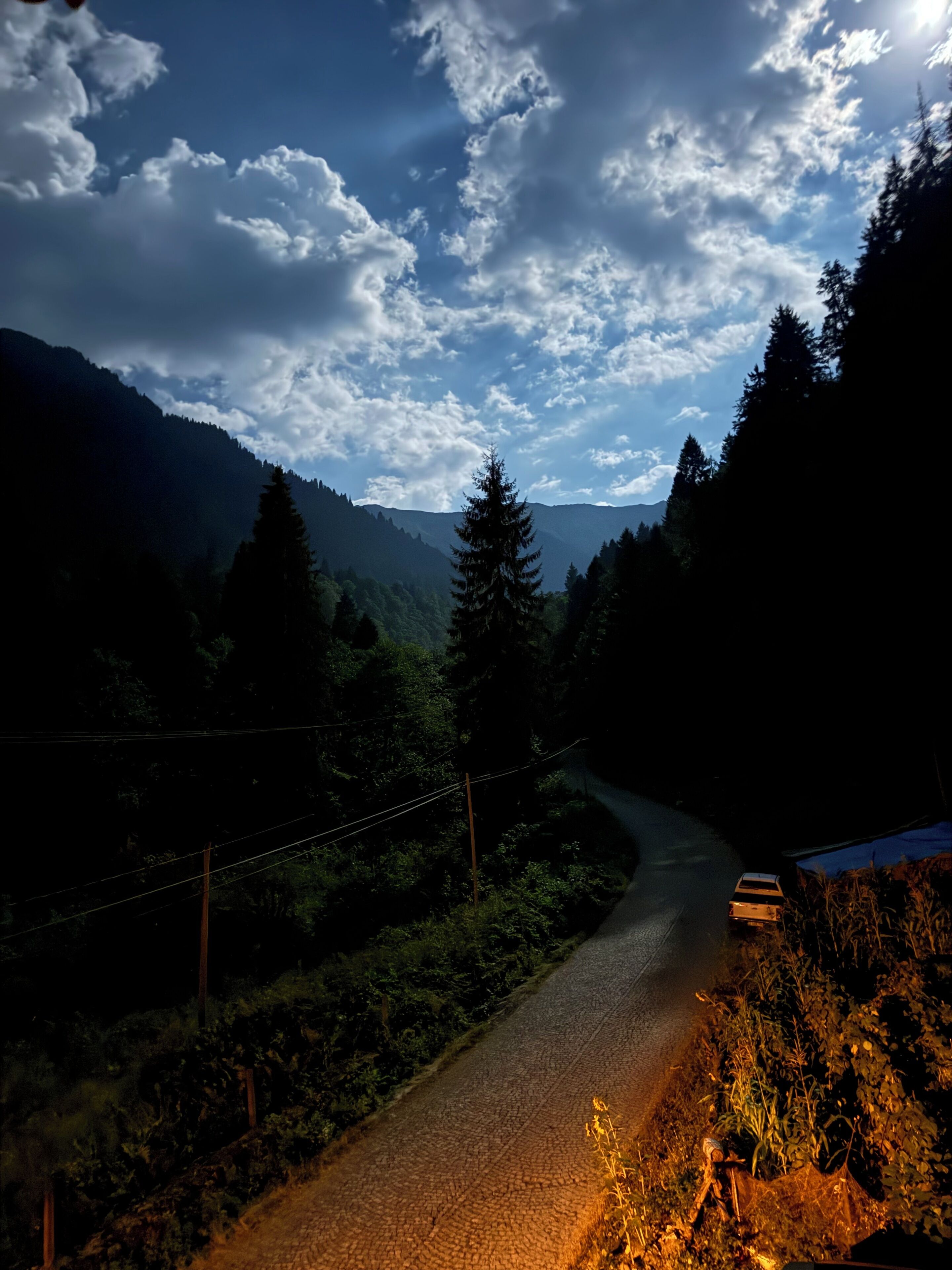 A winding road through a forested valley with a mountain in the background.