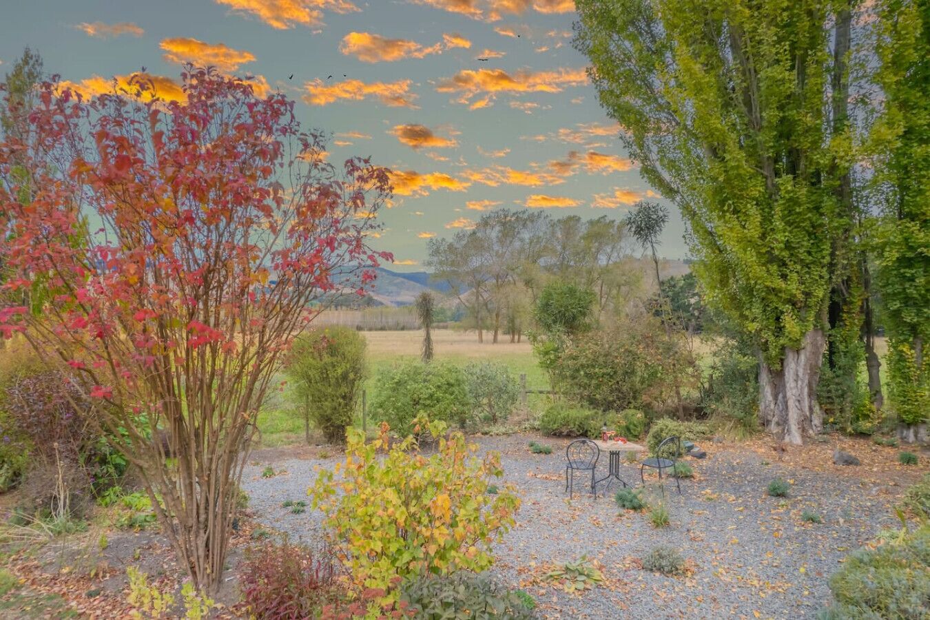 A garden with a variety of trees and shrubs, a gravel path, and a metal table and chair set.
