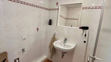 Shower, hair dryer, toilet paper