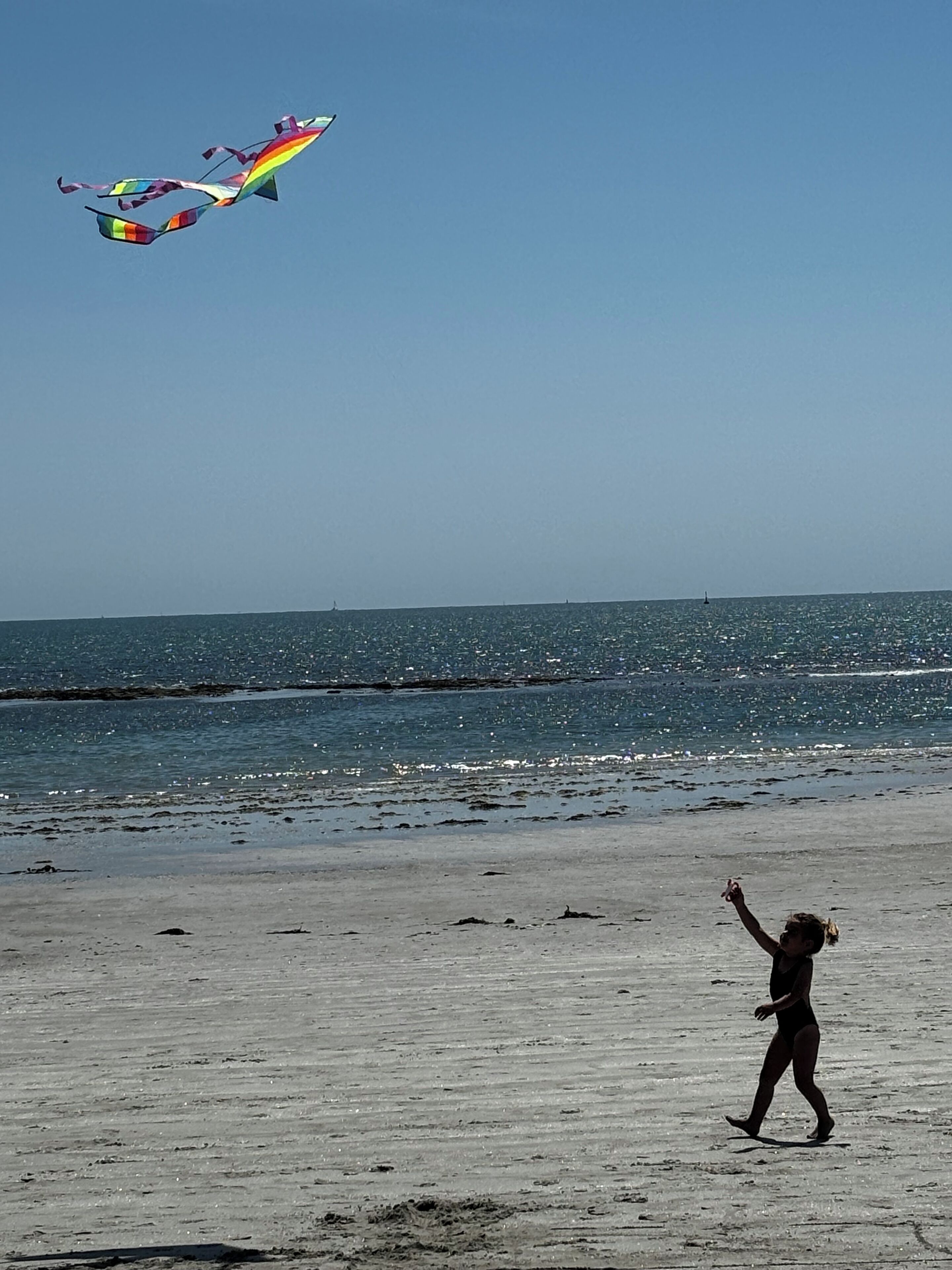 Een strand met een kind dat een vlieger oplaat.
