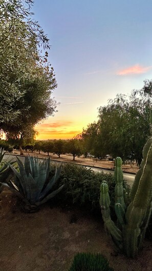 Overnatningsstedets område