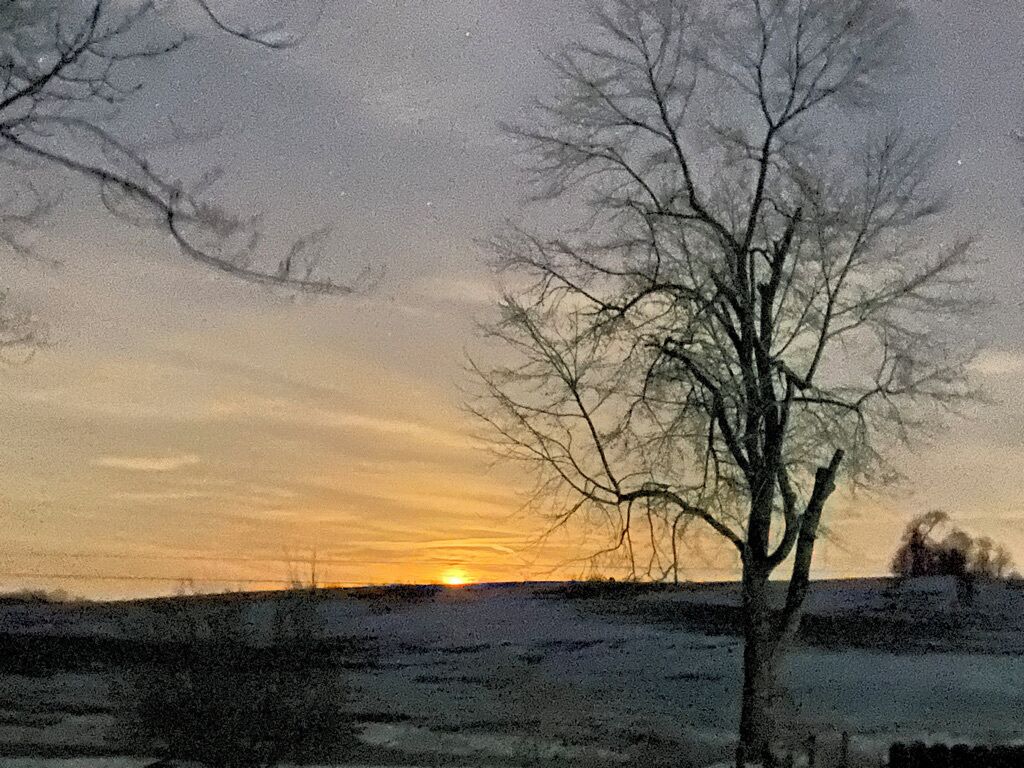 A tree in a snowy landscape during sunset.