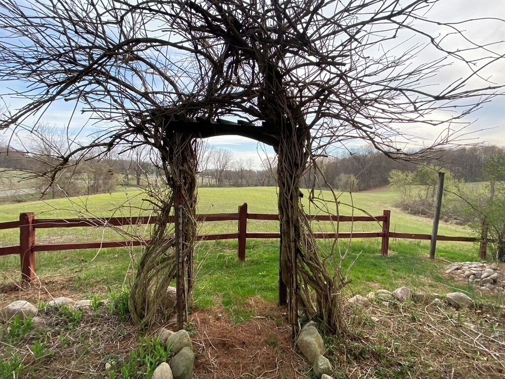 Land view from property