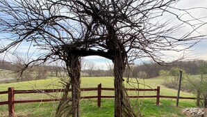A rustic arbor structure in a rural setting with a wooden fence and a grassy field in the background.