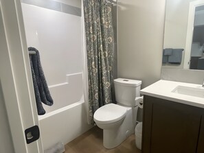 Hair dryer, towels, soap, shampoo