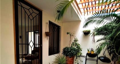 ¡Cozy NY industrial style apartment + nice view to Mallorquin Swamp!