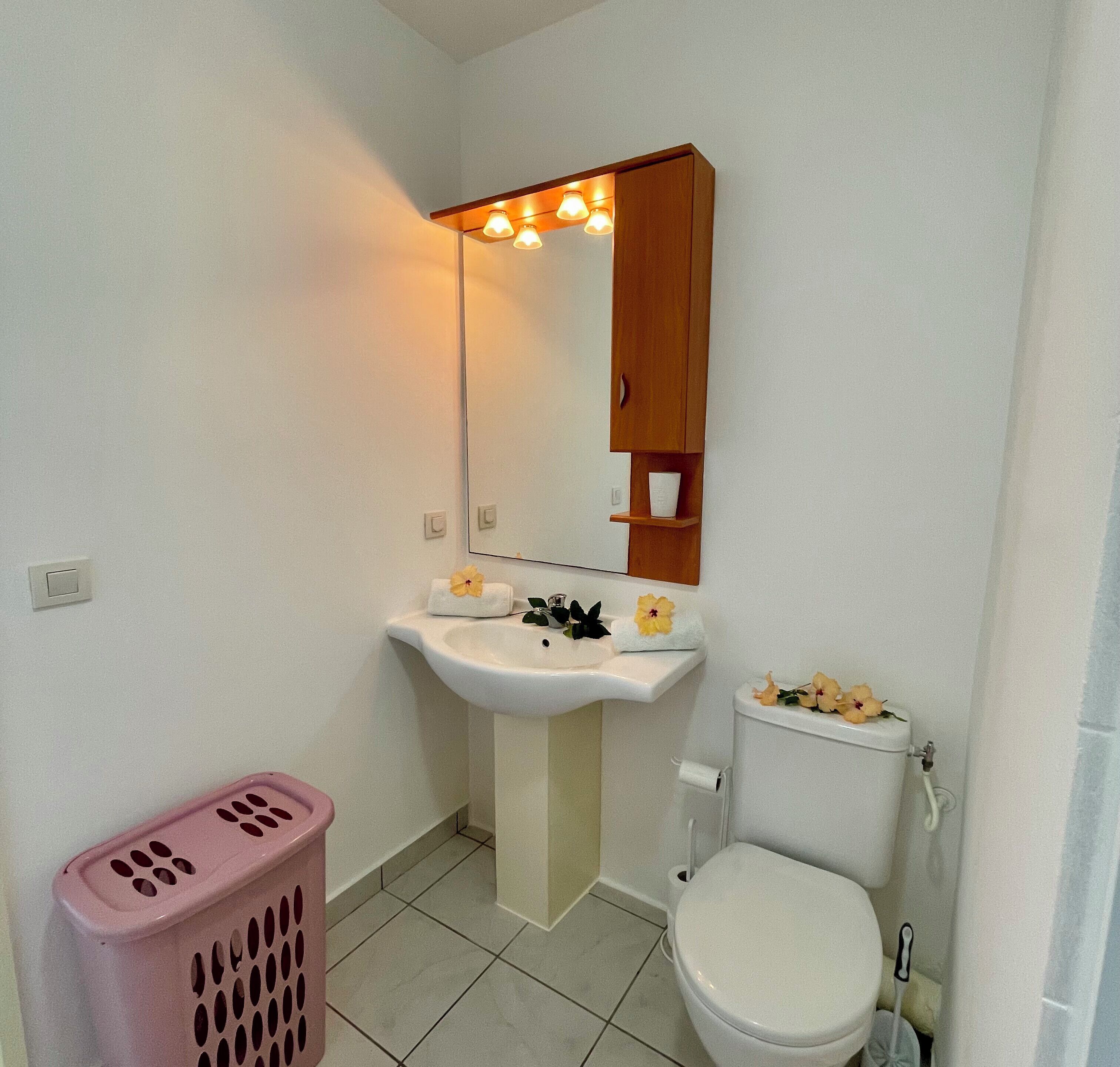 Une petite salle de bain avec un lavabo blanc, un miroir, des toilettes et un panier à linge rose.