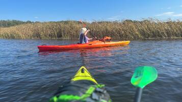 A person kayaking on a calm body of water with tall grasses in the background.