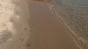 Kajaks op een zandstrand nabij kalm water.