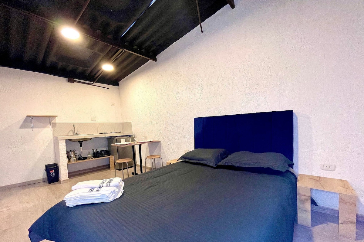 Basic Suite | 1 bedroom, premium bedding, down duvets, iron/ironing board