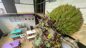 A modern interior with a wooden floor, a seating area with tables and benches, and a variety of potted plants and succulents. - Súper Apartamento central Casa Colonial (Bogotá)