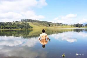 Toallas, jabón, papel de baño 