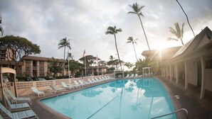 A swimming pool with lounge chairs and palm trees.