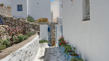 Terrain de l’hébergement