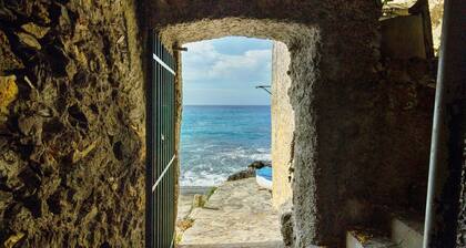 Il giardino sul mare