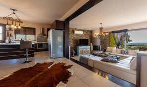 TV, fireplace, video games