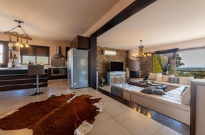 Télévision, cheminée, jeux vidéo