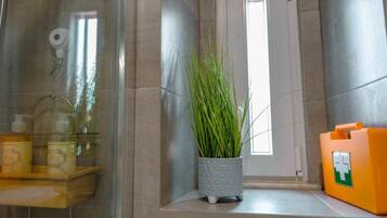 Dutxa, assecador de cabells i tovalloles