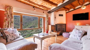 Una televisión, una chimenea