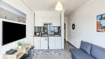 A compact living space with a kitchenette, a flat-screen TV, a sofa, and a patterned rug.