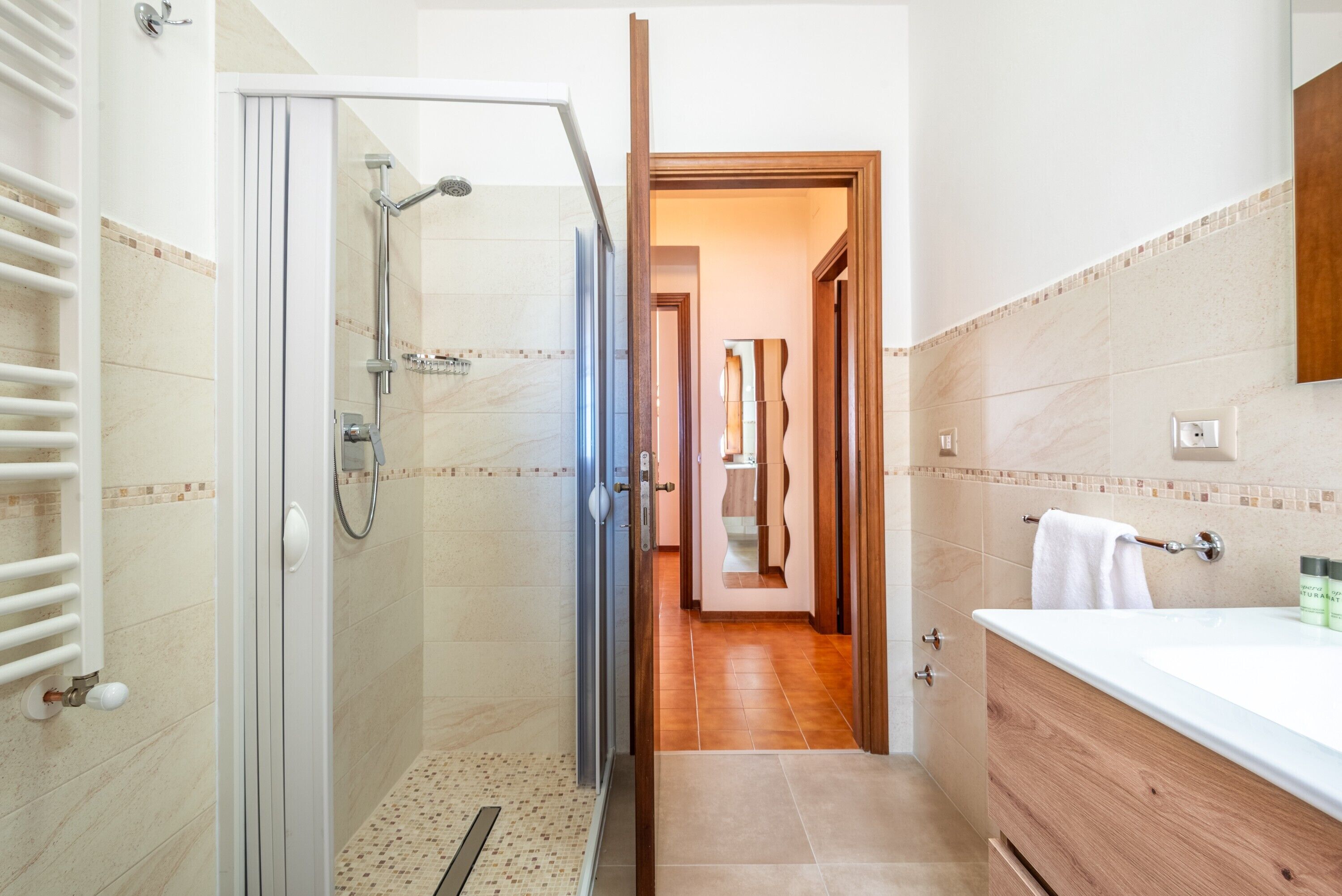 Chuveiro, secador de cabelo, toalhas de banho 