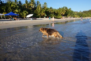 Spiaggia