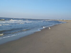 Playa