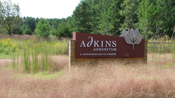 Señal de Adkins Arboretum, jardín nativo de Chesapeake, con un logotipo de hoja.