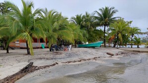 Une plage avec un bateau appelé « Lillian » et des palmiers.