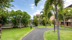 A paved pathway in a landscaped area with palm trees and grass.