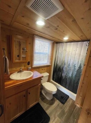 Shower, towels, toilet paper
